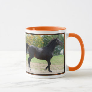 Elmhurst - '97 Breeders' Cup Sprint Winner