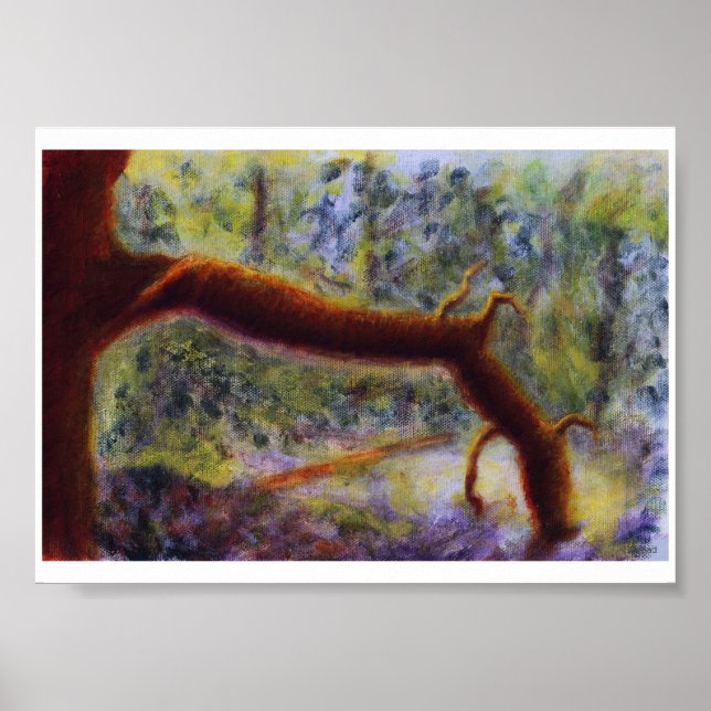 Elora Gorge, Poster (Front)