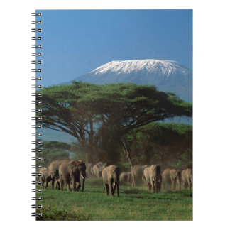 Elphants of Mt.Kilimanjaro Spiral Notebook