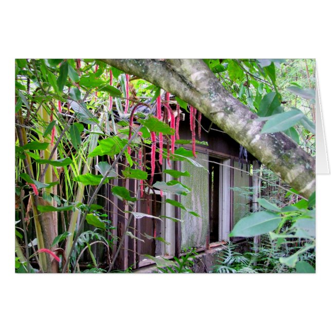 Elvis Presley Bungalow (Front Horizontal)