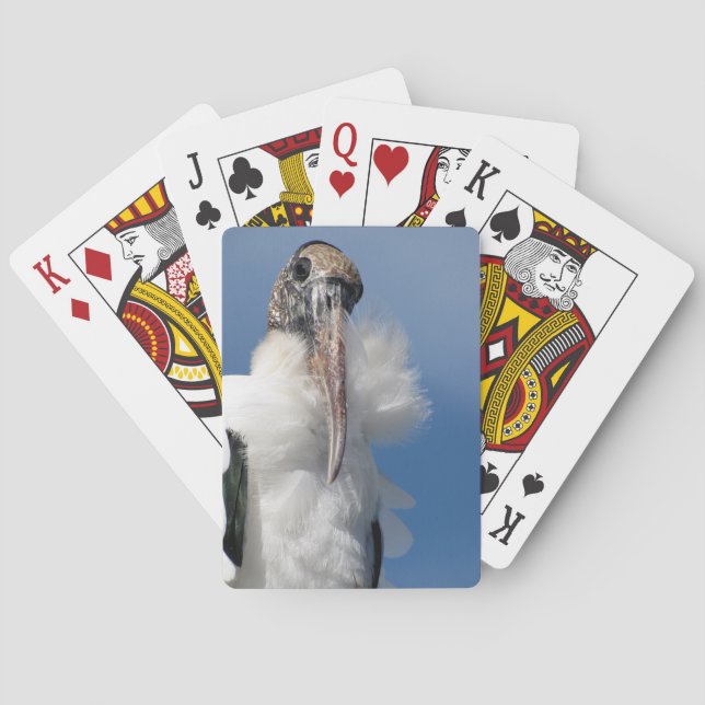 Elvis - Wood Stork - Playing Cards (Back)