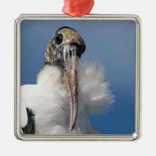 Elvis - Wood Stork - Premium Ornament