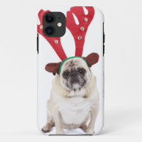 Embarrassed looking Pug wearing Reindeer Antlers