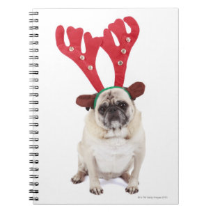 Embarrassed looking Pug wearing Reindeer Antlers Spiral Notebook