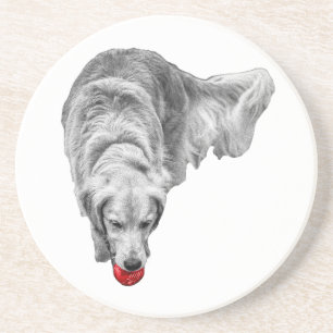 Ember Focus Coaster
