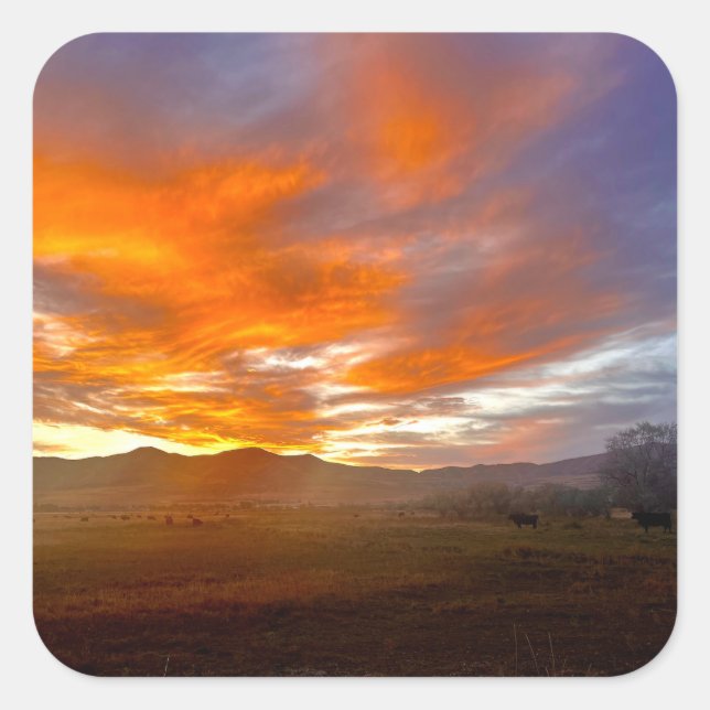 Ember Sky  Square Sticker (Front)