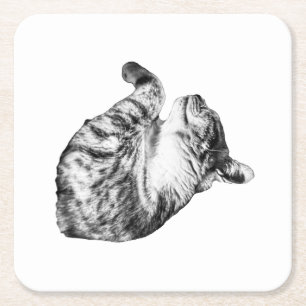 Ember-Step Purr Square Paper Coaster