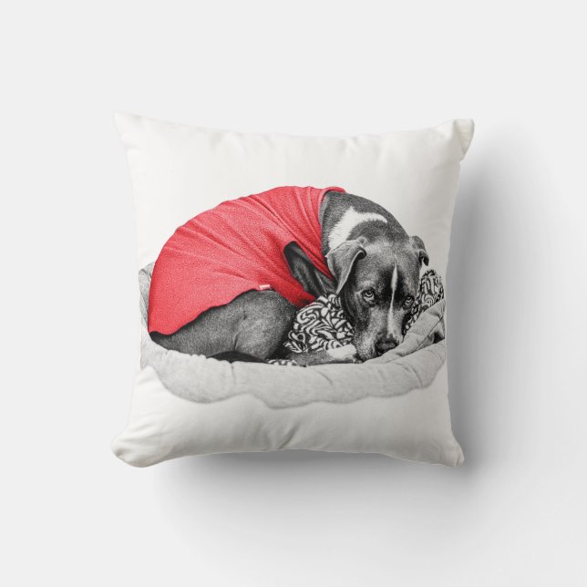 Embers of Cosy Nights Cushion (Front)