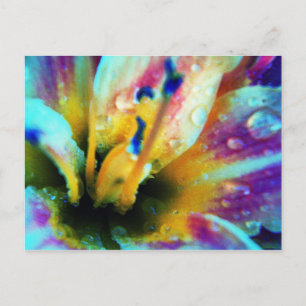 Embossed Lily Postcard