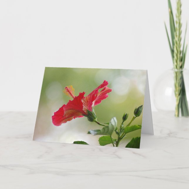 Embossed Red Hibiscus, Christmas Lights Holiday Card (Front)