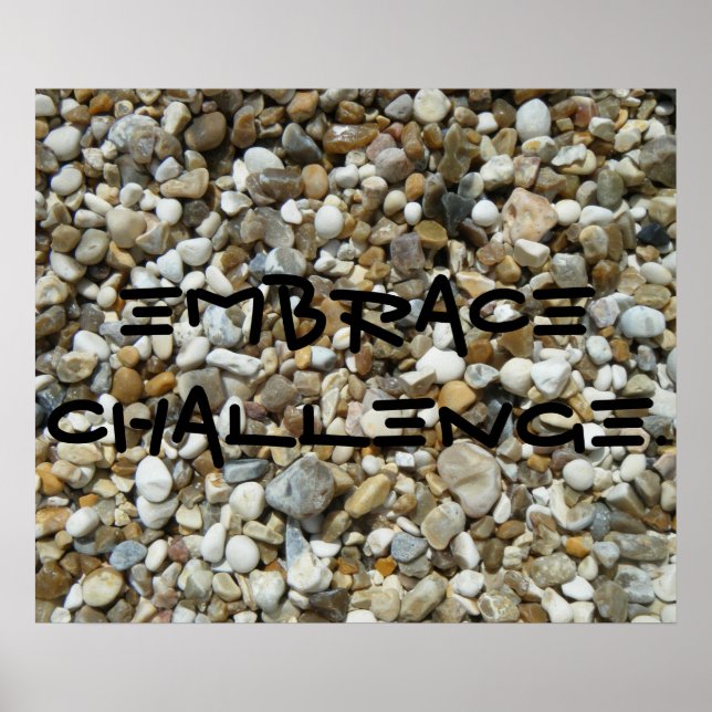 Embrace Challenge. Poster (Front)