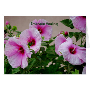 Embrace Healing