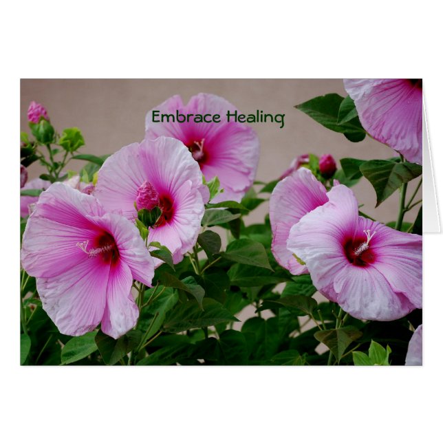 Embrace Healing (Front Horizontal)