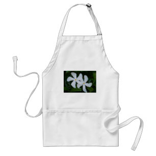 Embrace.JPG Standard Apron
