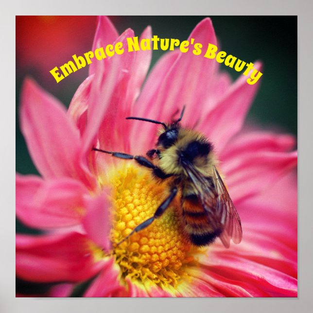 Embrace Nature Bee On Daisy Inspirational  Poster (Front)
