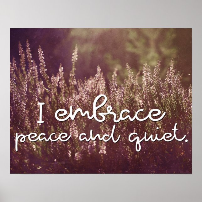 Embrace Peace And Quiet Inspirational Poster (Front)