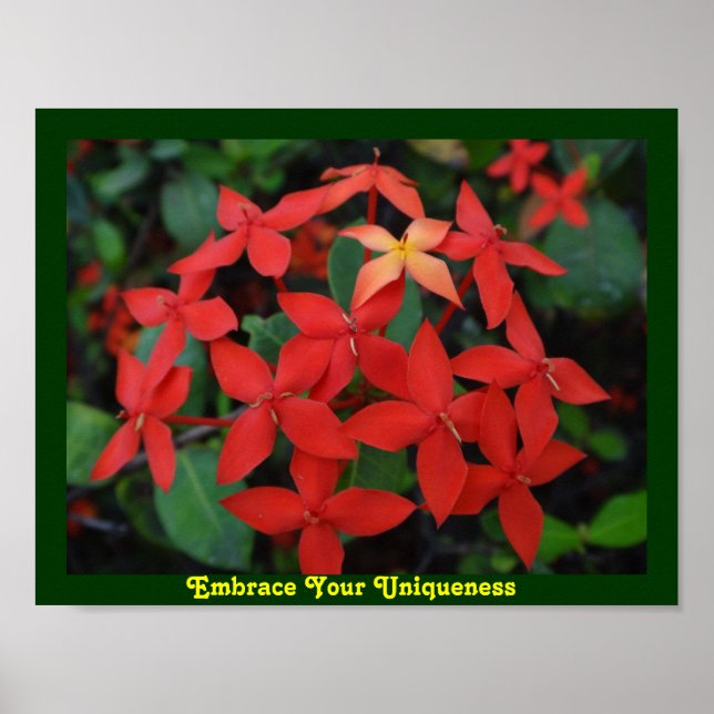 Embrace Your Uniqueness Poster (Front)