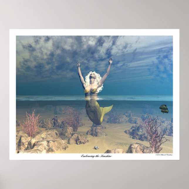 Embracing the Sunshine Poster (Front)