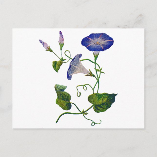 Embroidered Blue Morning Glories Postcard (Front)