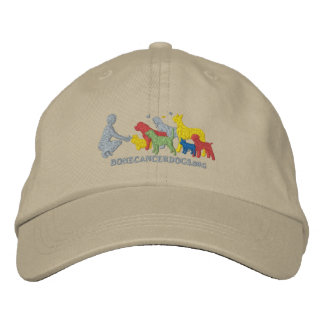 Embroidered Colour Logo Hat