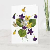 Embroidered White, Yellow and Purple Violets