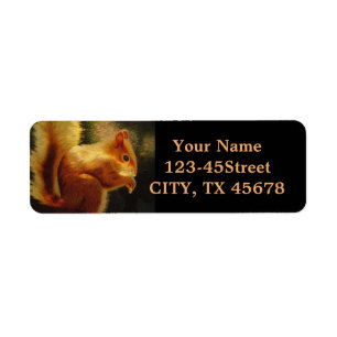 Embroidery autumn woodland animal red Squirrel