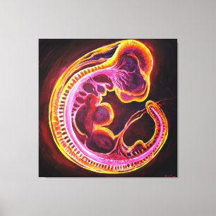 Embryo Canvas Print