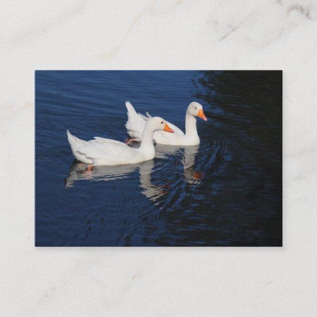 Emden Geese Business Card (Front)