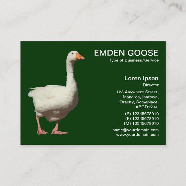 Emden Goose - Dark Forest |Green Business Card (Front)