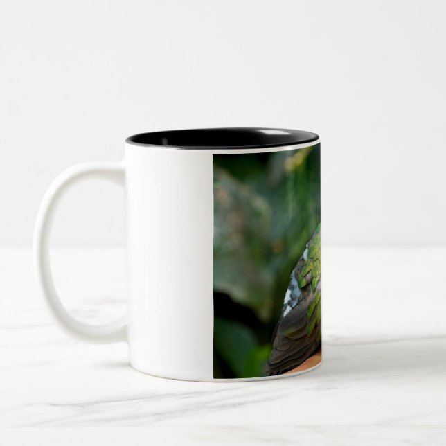 Emerald Dove Profile and Perch Two-Tone Coffee Mug (Left)
