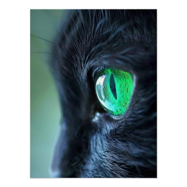 Emerald Eye Black Cat Poster (Front)