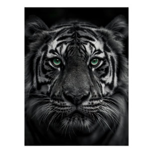 Emerald-Eyed Tiger Portrait - Black and White Poster