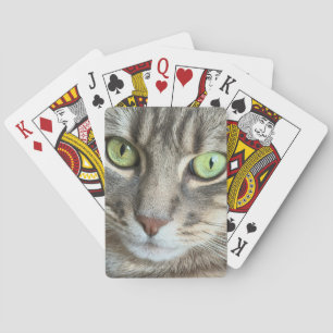 Emerald Eyes – Portrait of a Green-Eyed Cat Playing Cards