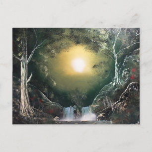 Emerald Forest Postcard