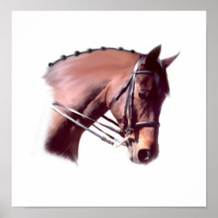 Emerald-Glen Houdini Poster