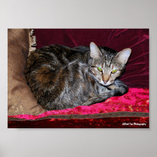 Emerald Green and Ruby Red Poster