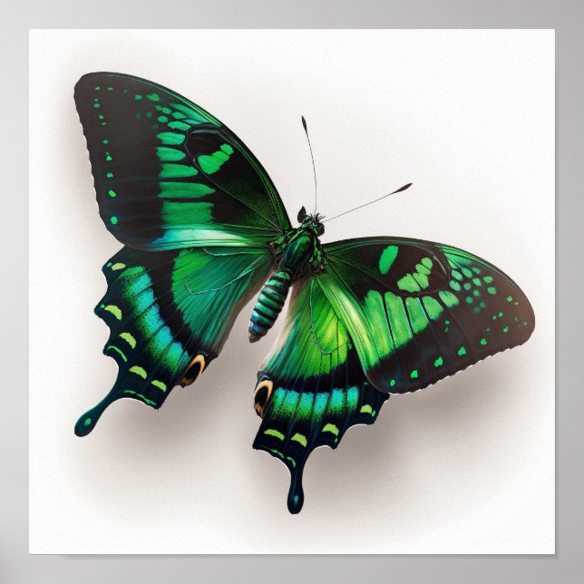 Emerald Green Butterfly Art Print Poster (Front)