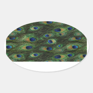 Emerald Green Royal Blue Peacock Stickers