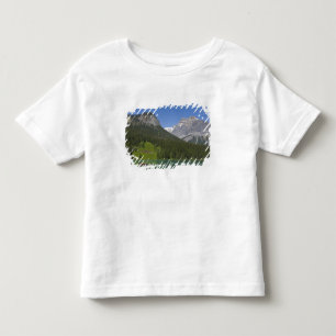 Emerald Lake, Canadian Rockies, British Toddler T-Shirt