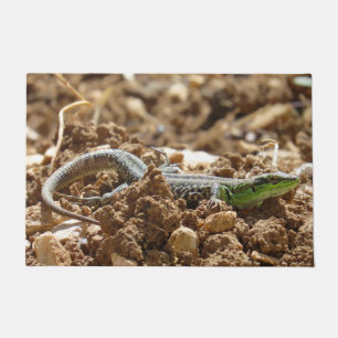 Emerald lizard Salamander in the earth Doormat