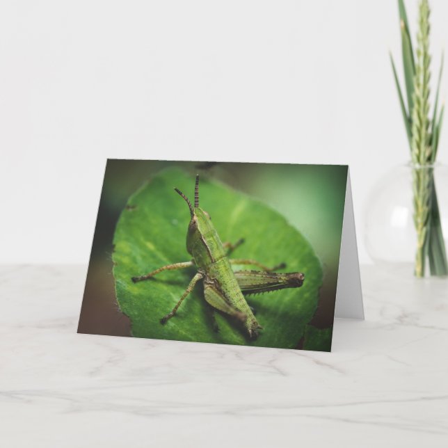 Emerald Majesty: An Elegant Grasshopper Card (Front)