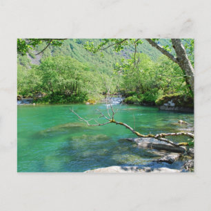 Emerald Peace Postcard
