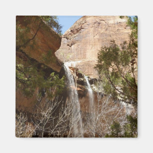 Emerald Pool Falls I from Zion National Park Magnet