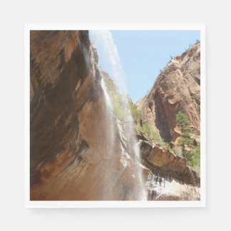 Emerald Pool Falls II from Zion National Park Napkin