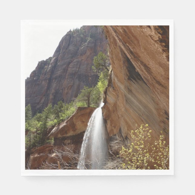 Emerald Pool Falls III from Zion National Park Napkin (Front)