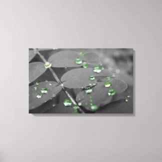 Emerald Rain Drops Canvas Print