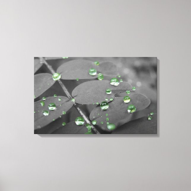 Emerald Rain Drops Canvas Print (Front)