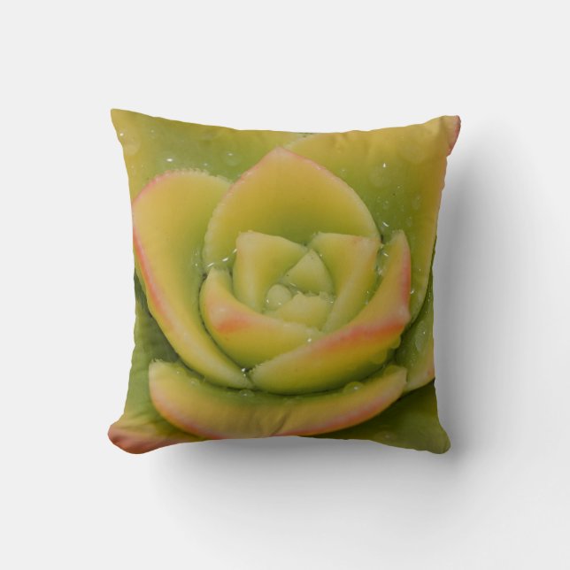 Emerald Succulent Photography Decor Modern Botanic Cushion (Front)