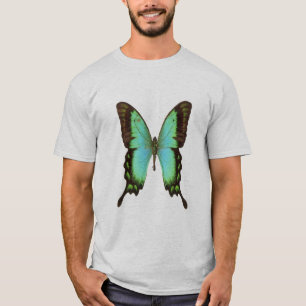 Emerald-swallowtail butterfly, t-shirt