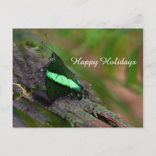 Emerald Swallowtail, Happy Holidays Holiday Postcard